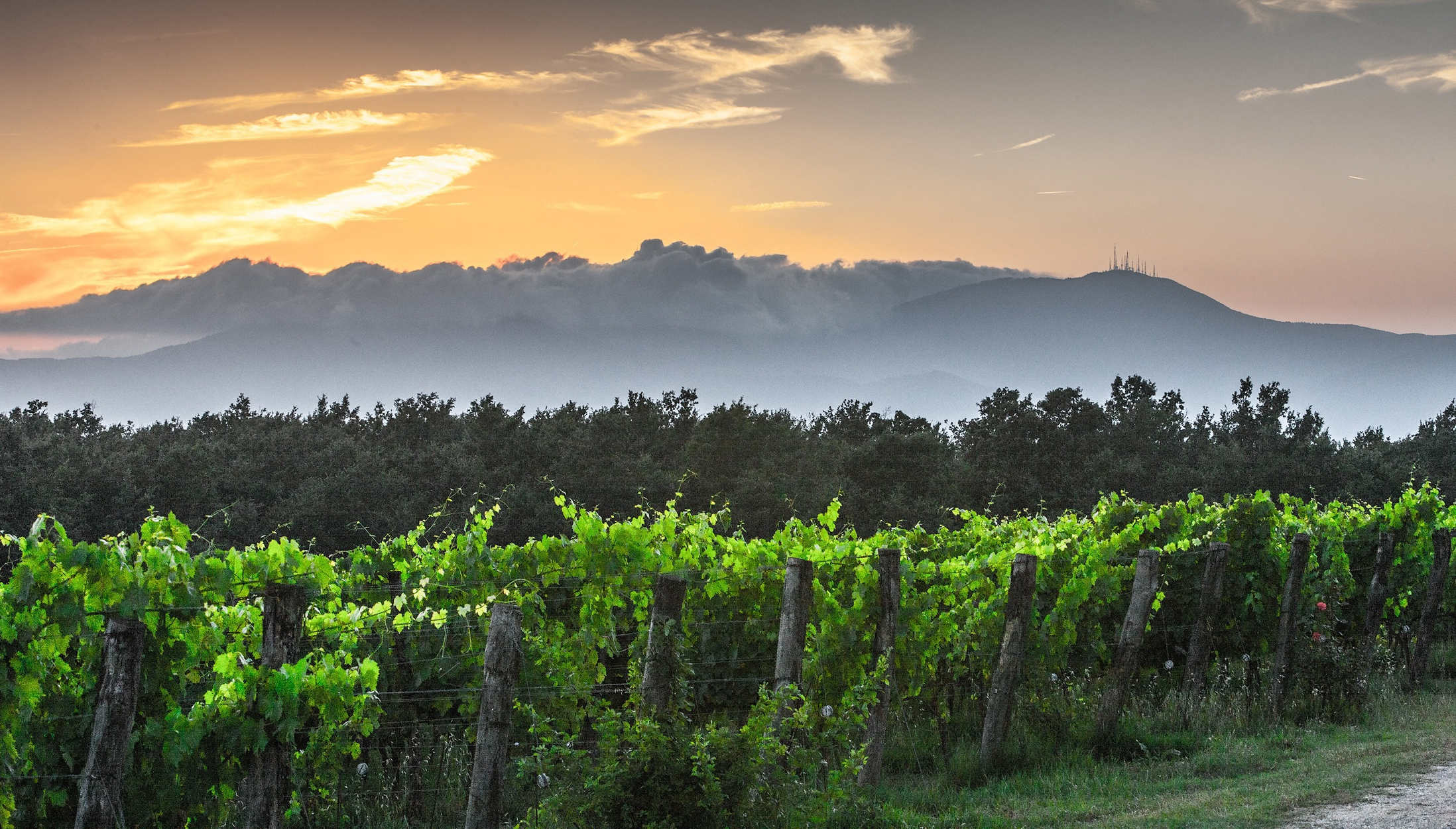 Tuscan landscape — Taste Tuscany Summer School
