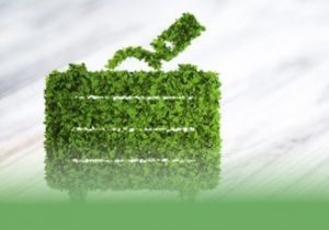 Management del Turismo Sostenibile